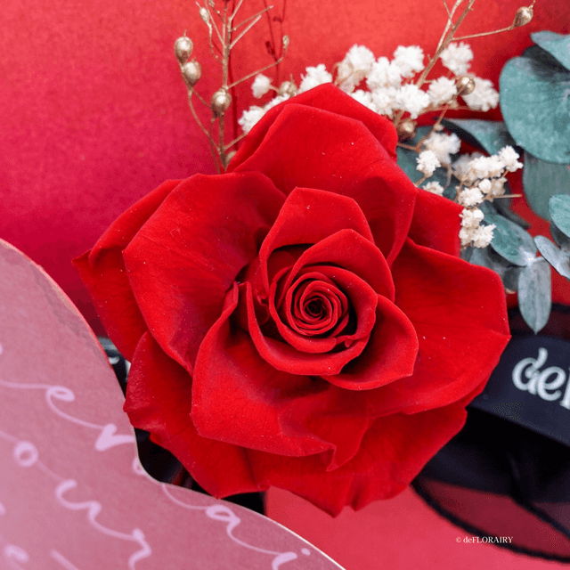 Classic Red: Let's Fall in Love | Keepsake Flower Card | Next-Day Flower Delivery in Bristol | UK-Wide Delivery