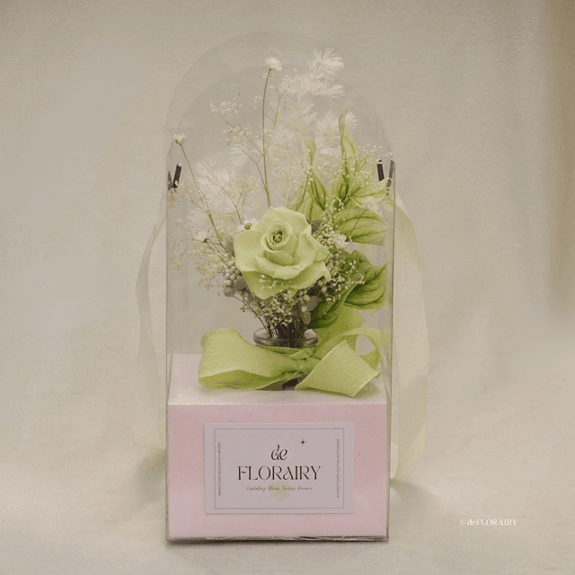Ivory Lime | Preserved Rose in Vase | Next-Day Flower Delivery in Bristol | UK-Wide Delivery